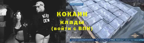 индика Кулебаки