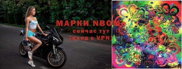 индика Кулебаки