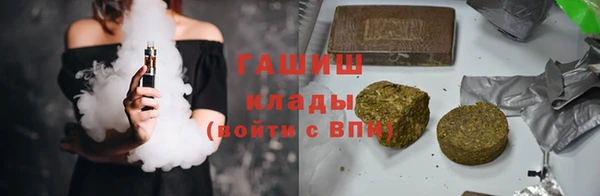 индика Кулебаки