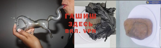индика Кулебаки