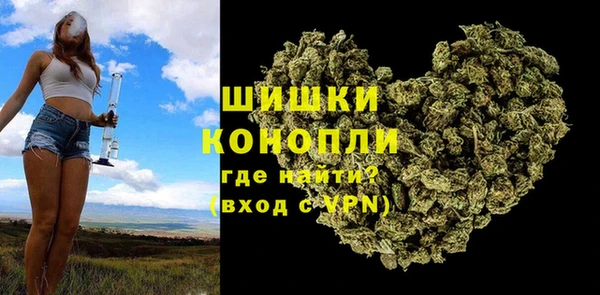 индика Кулебаки