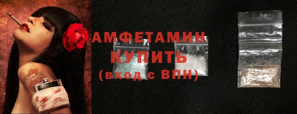 индика Кулебаки