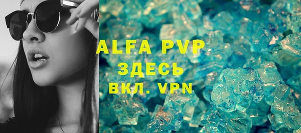 индика Кулебаки
