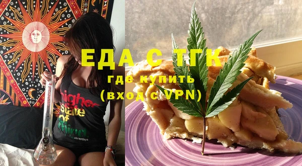 индика Кулебаки