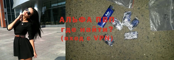 индика Кулебаки