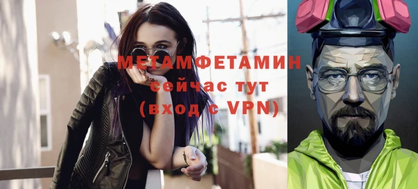 индика Кулебаки