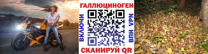 Псилоцибиновые грибы GOLDEN TEACHER Советская Гавань